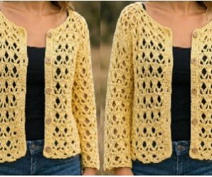 Como tejer preciosa blusa crochet